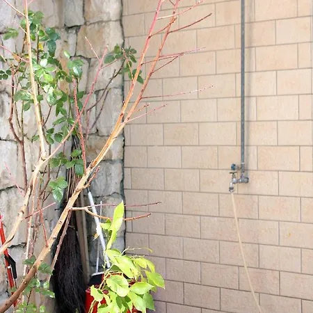 Marusici 962b Apartman *